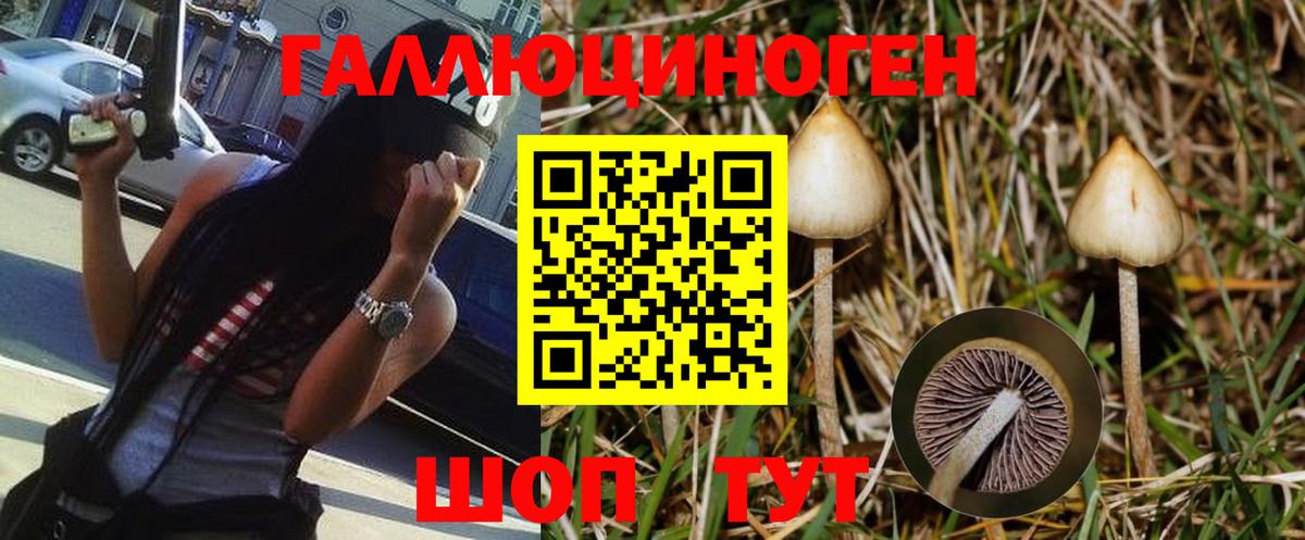 Норильск  Галлюциногенные грибы Psilocybe  Вход с VPN 